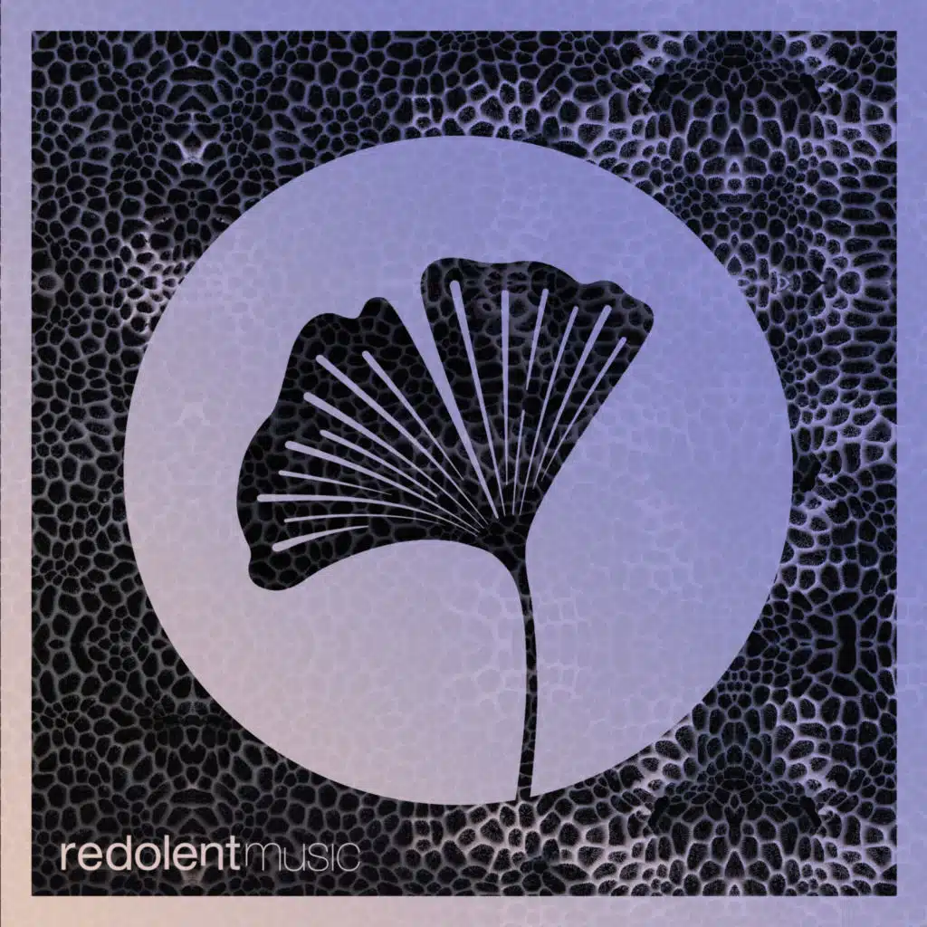 Raw is Real (feat. Martijn ten Velden)