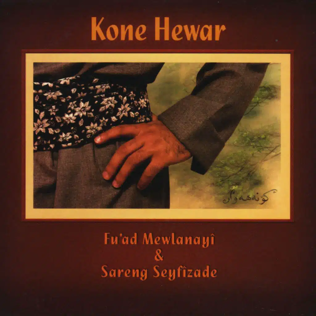 Sarang Seyfizadeh