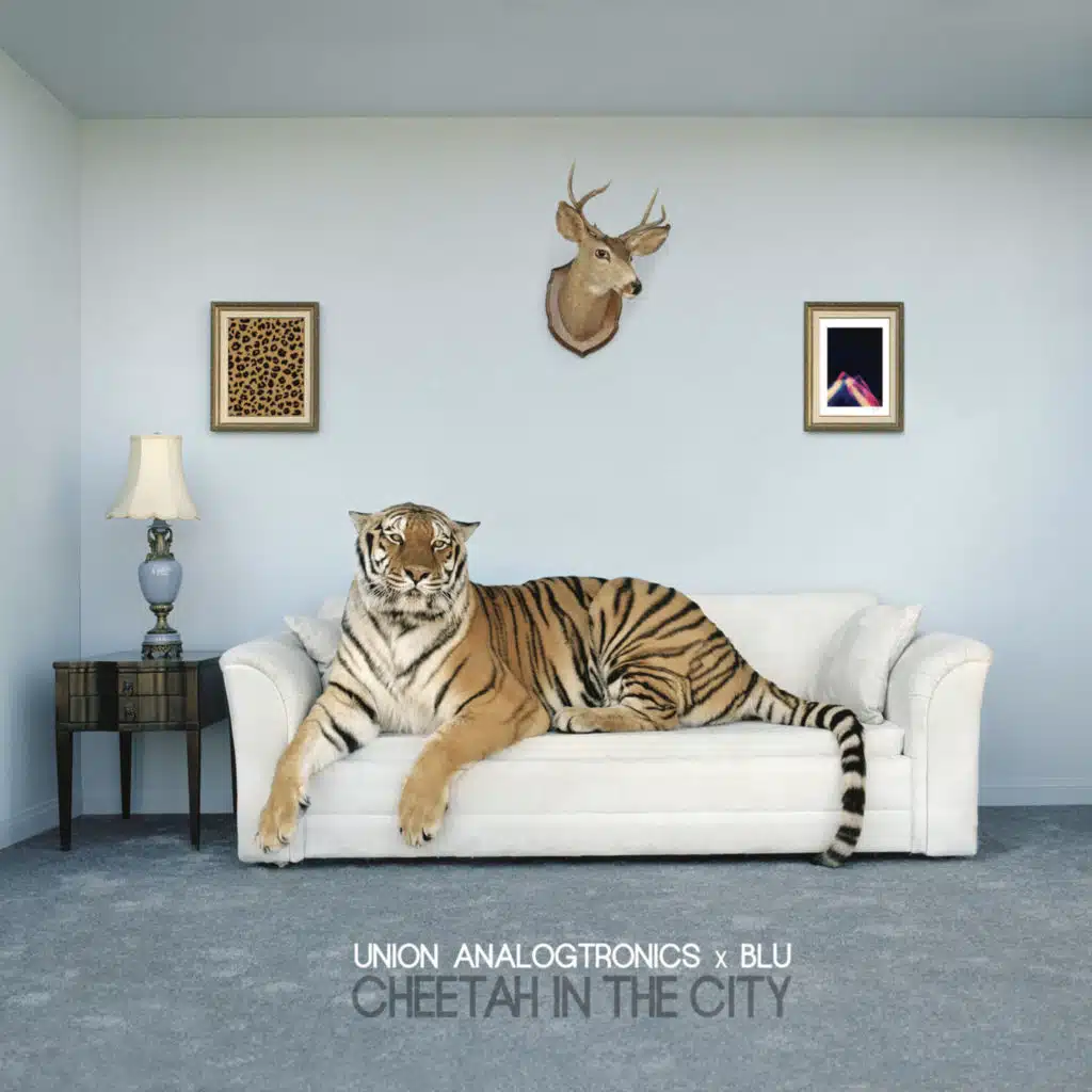 City Dreams