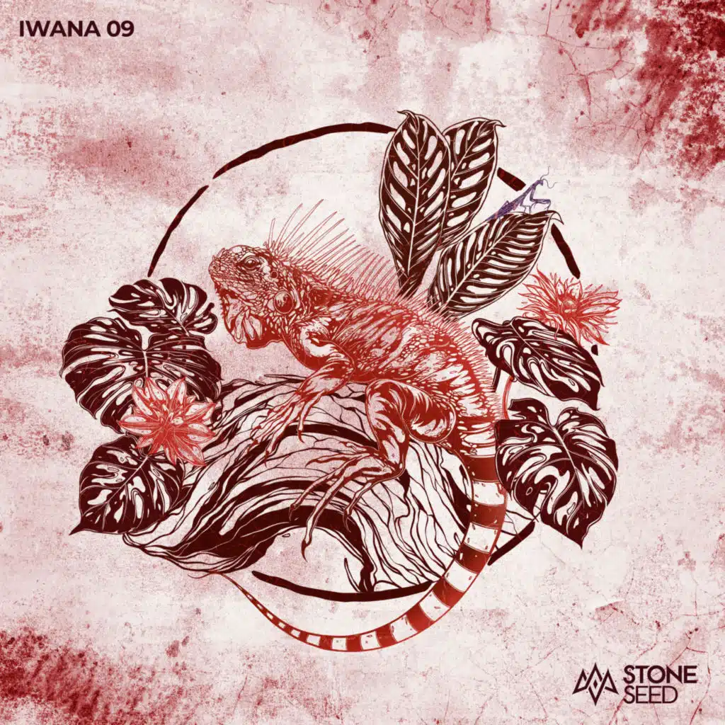 IWANA 09