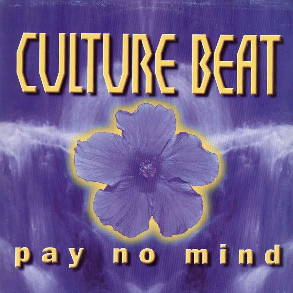 Pay No Mind (DJ Taucher Remix)