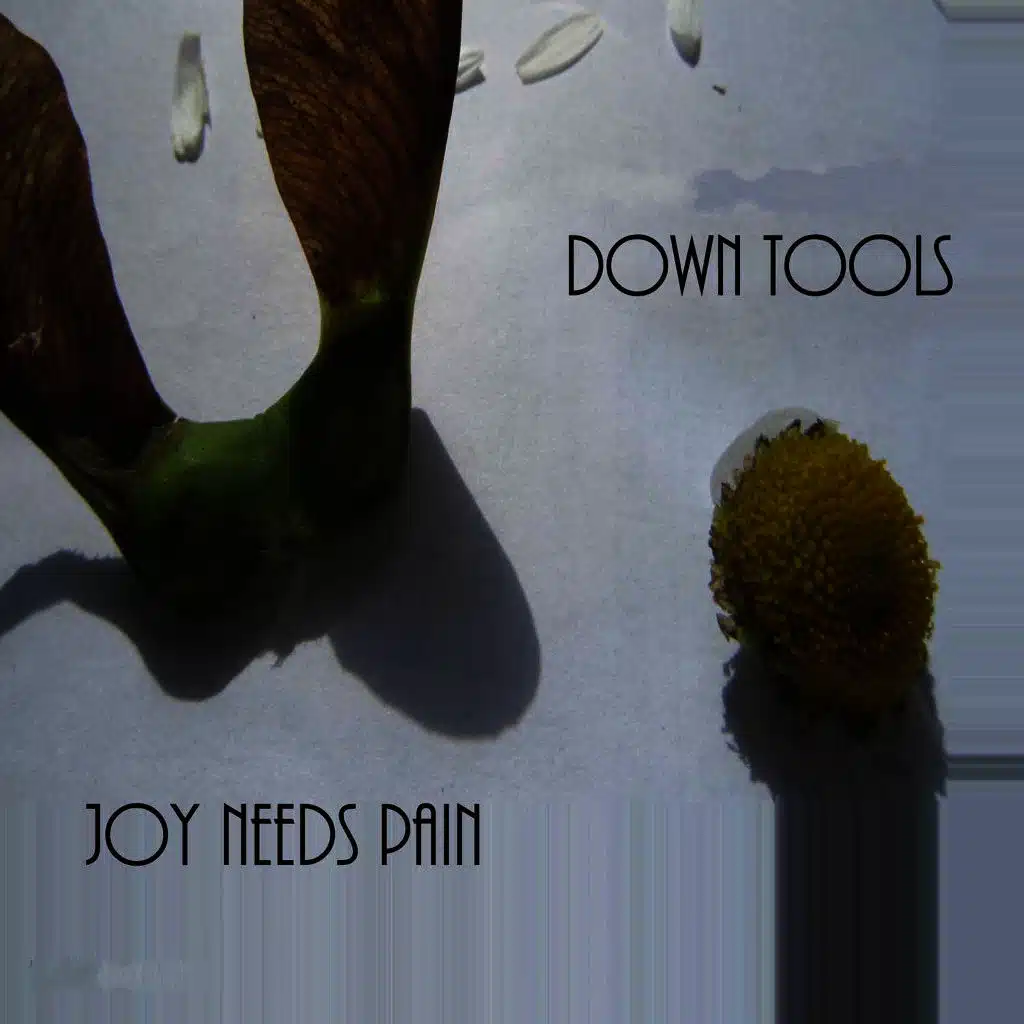 Joy Needs Pain