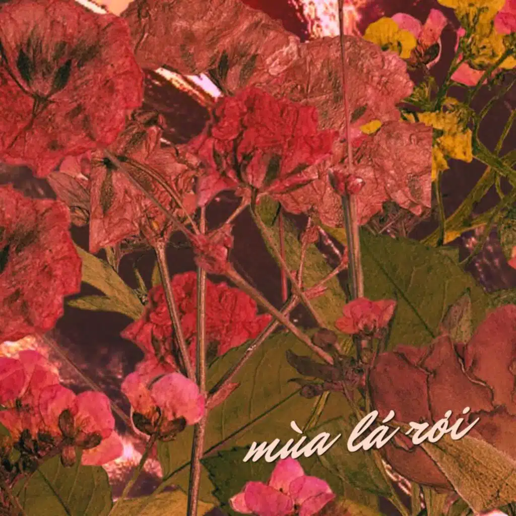 Playlist Sáng Chủ Nhật