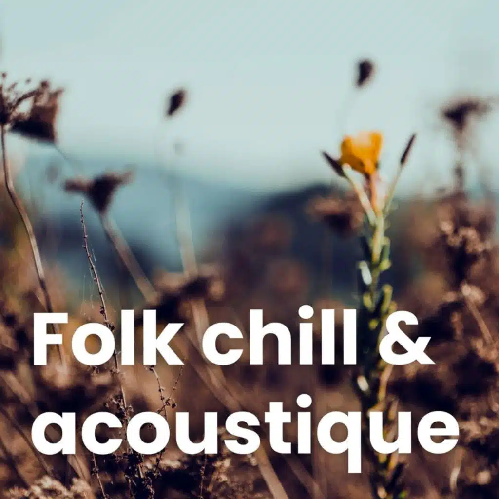 Folk chill & acoustique