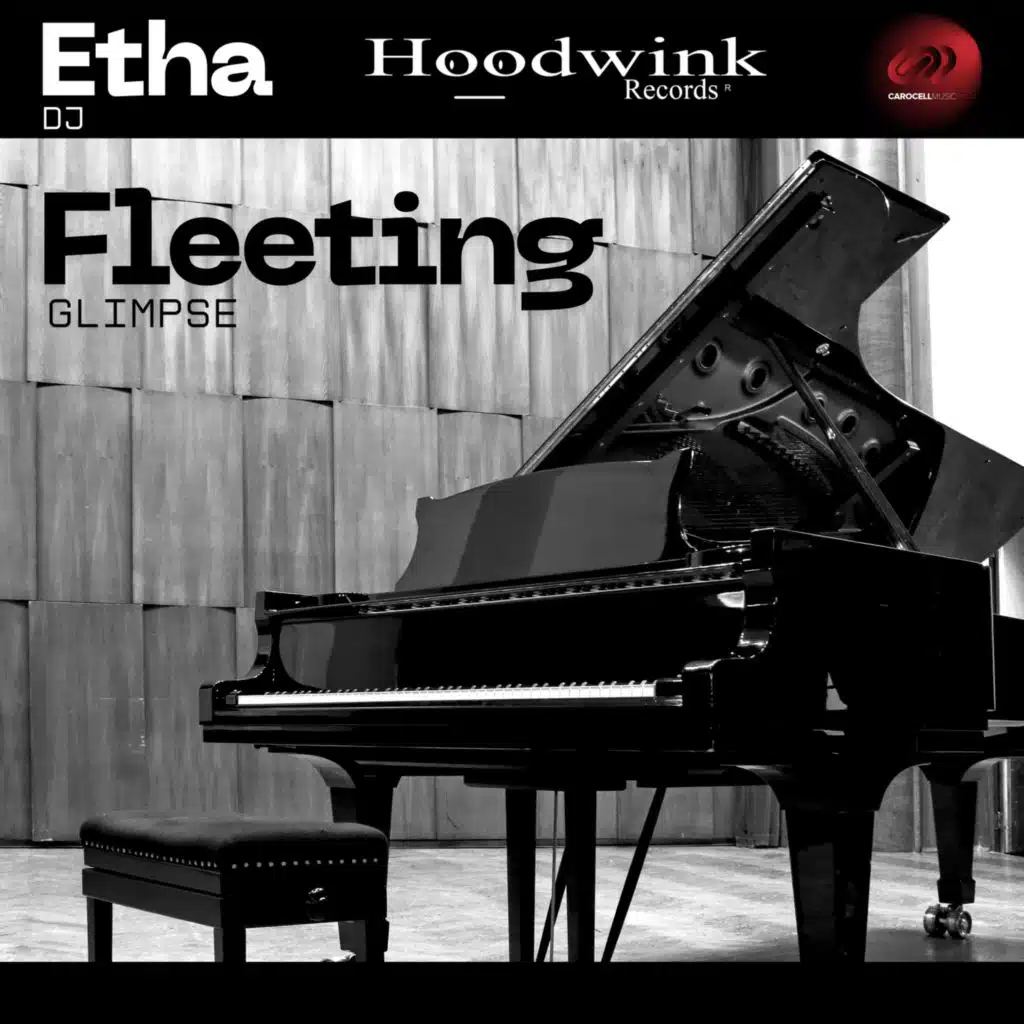 Fleeting Glimpse (feat. Bryan House)
