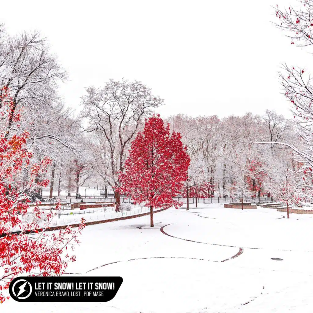 Let It Snow! Let It Snow! Let It Snow (Acoustic)