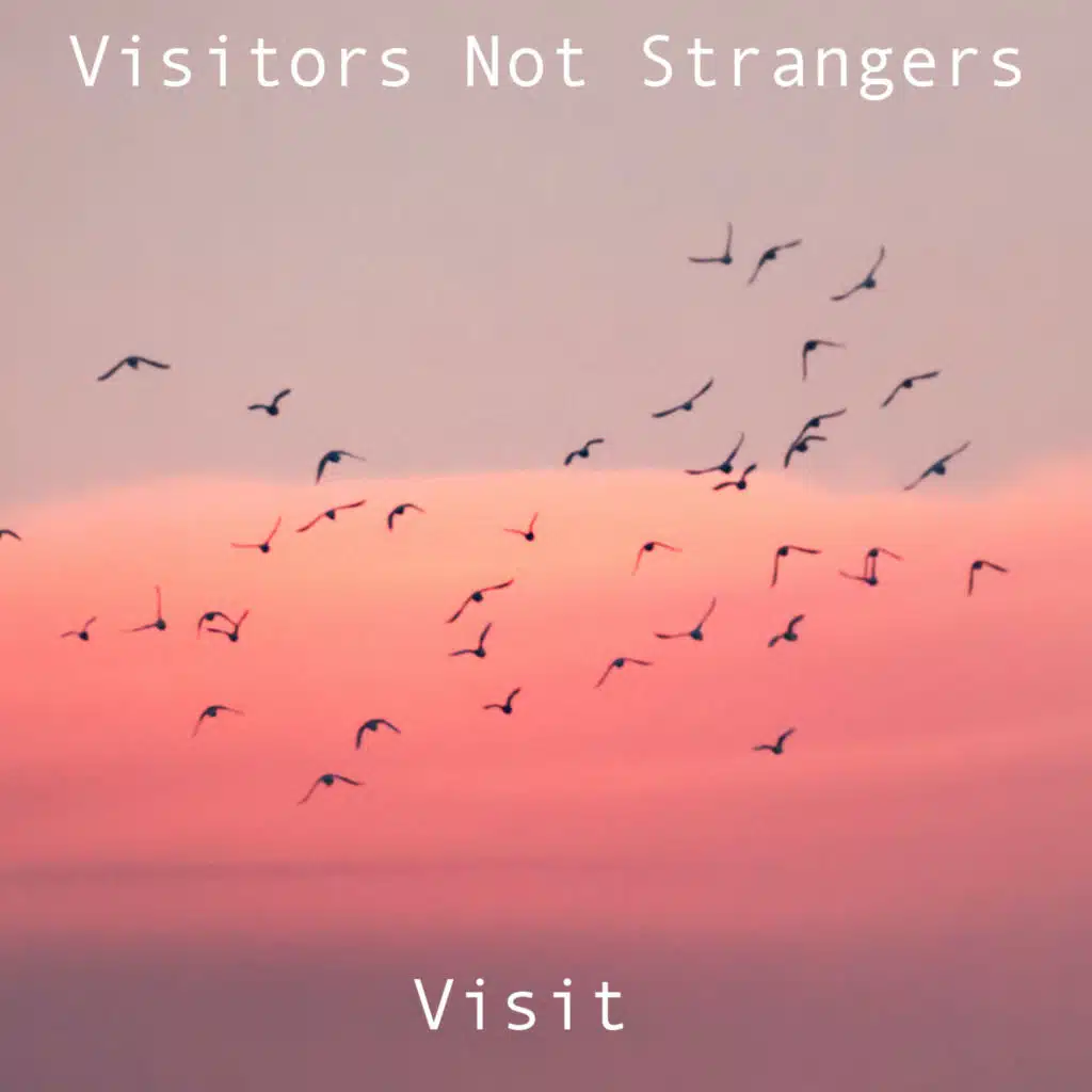 Visit