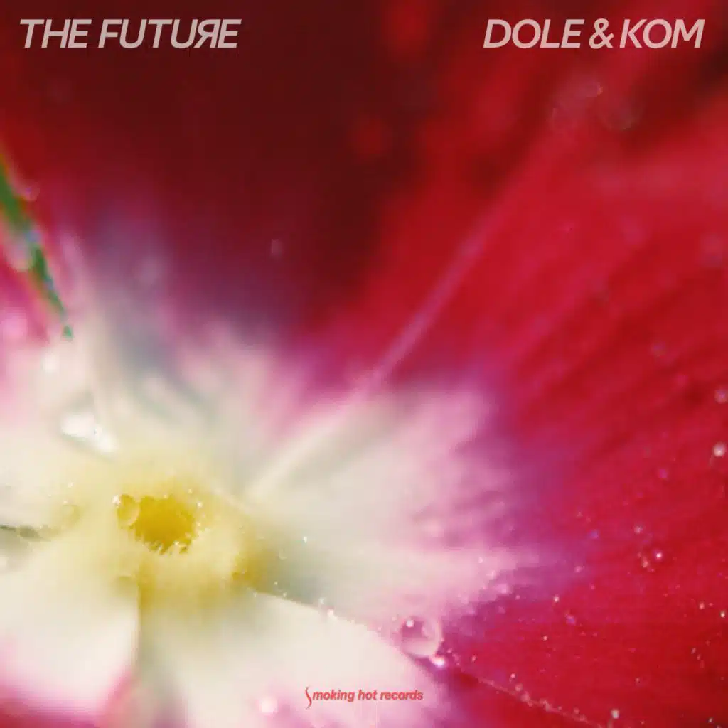 The Future (Radio-Edit)