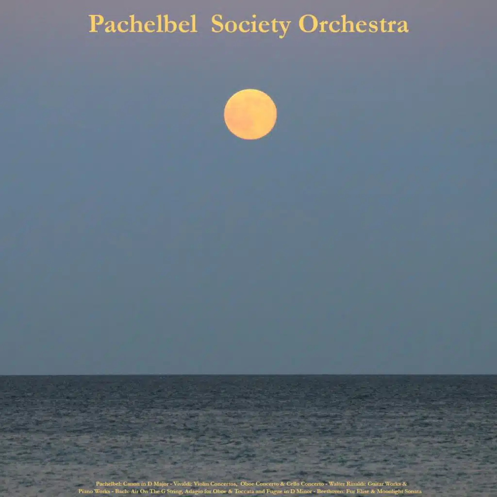 Pachelbel: Canon in D Major - Vivaldi: Violin Concertos, Oboe Concerto & Cello Concerto - Walter Rinaldi: Guitar Works & Piano Works - Bach: Air On the G String, Adagio for Oboe & Toccata and Fugue in D Minor - Beethoven: Fur Elise & Moonlight Sonata