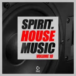Spirit of House Music, Vol. 18