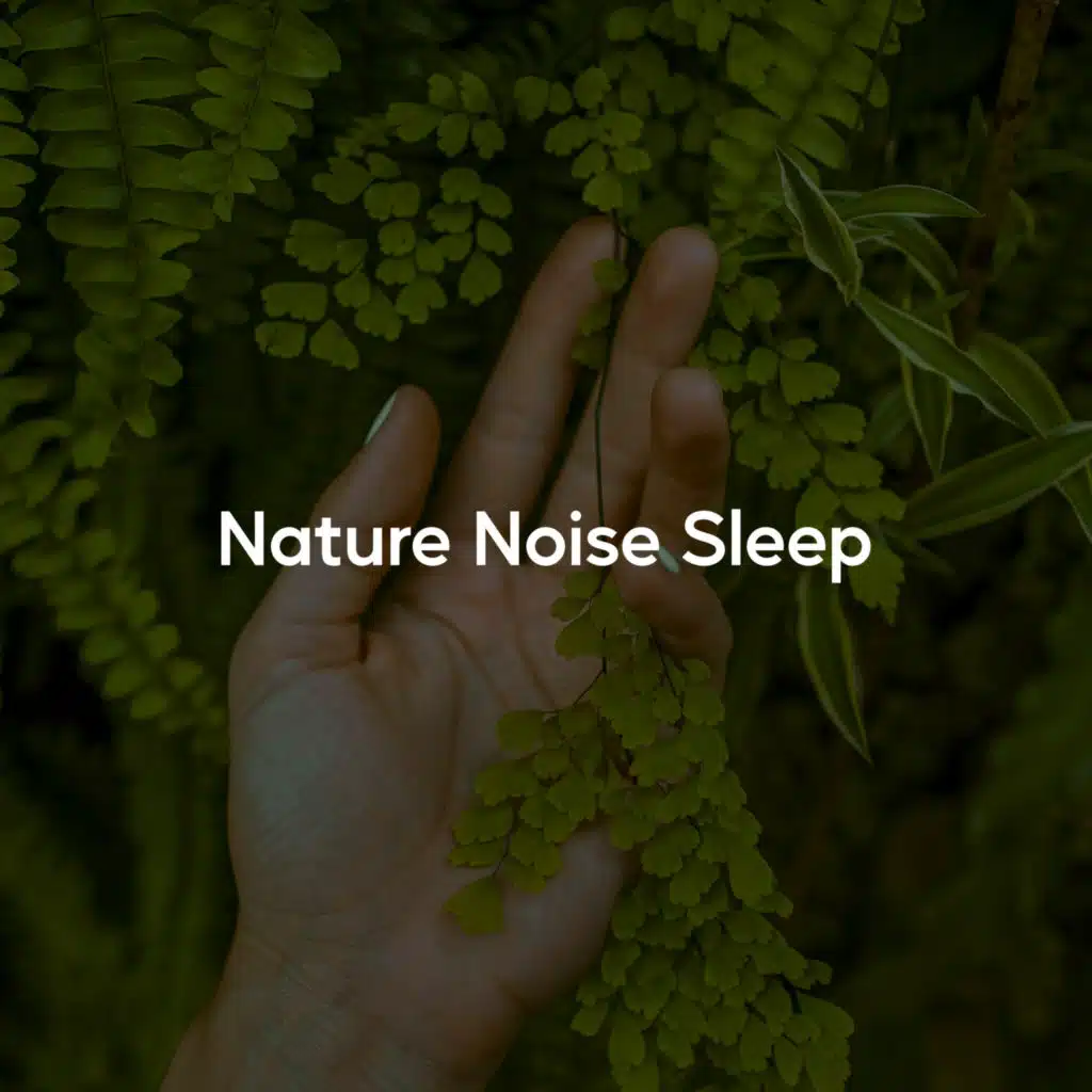 Nature Noise Sleep (Forest Solfeggio Calm)