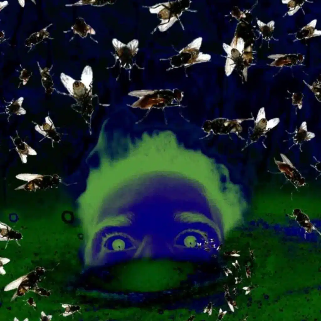 VOMiT