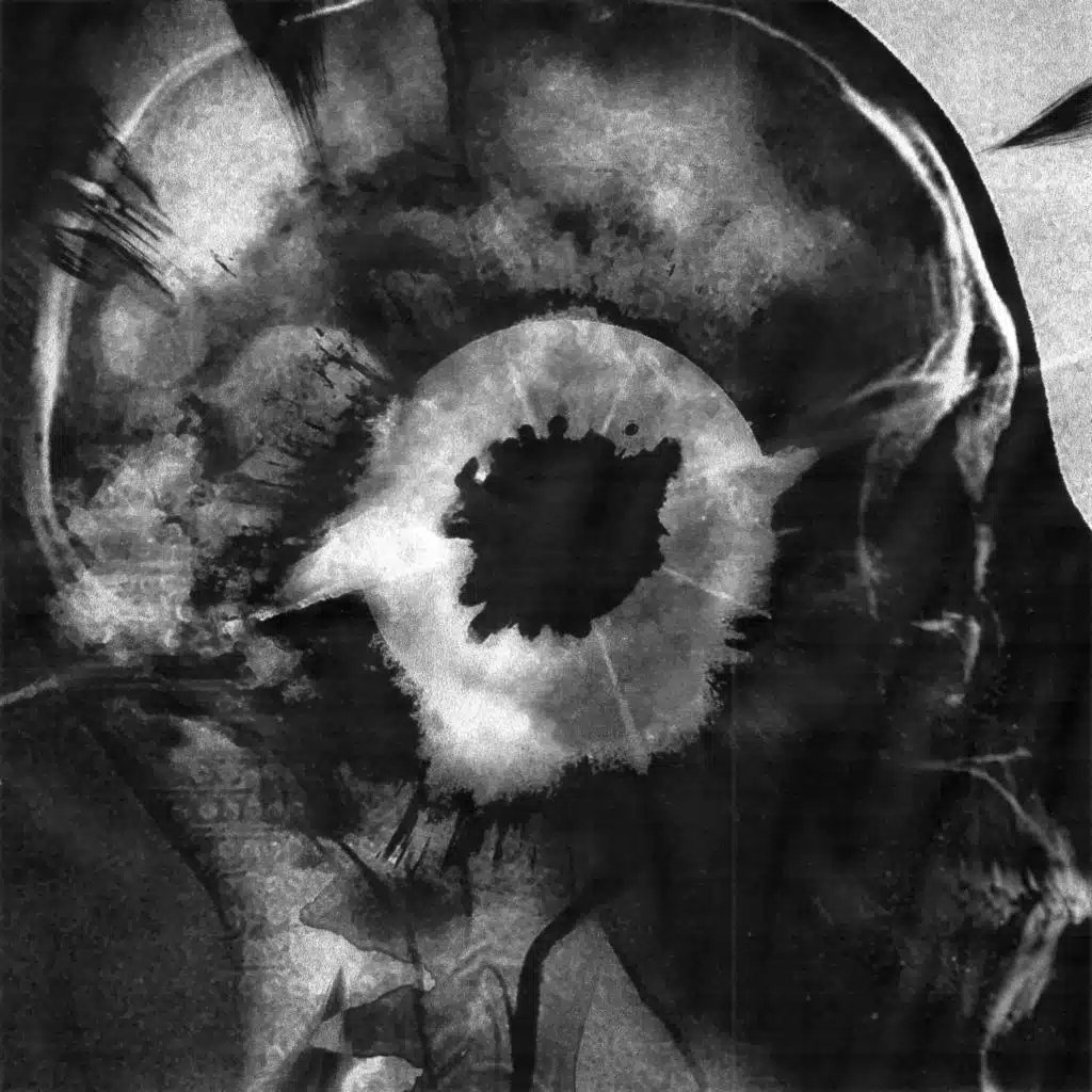 NO REGULAR MUSIC 2.5