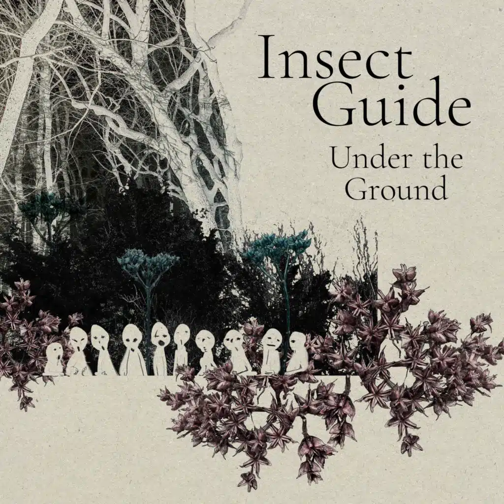 Insect Guide