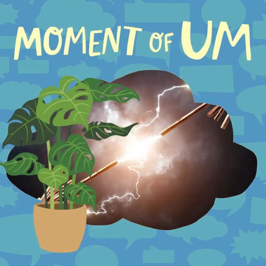 Can plants feel an electric shock?