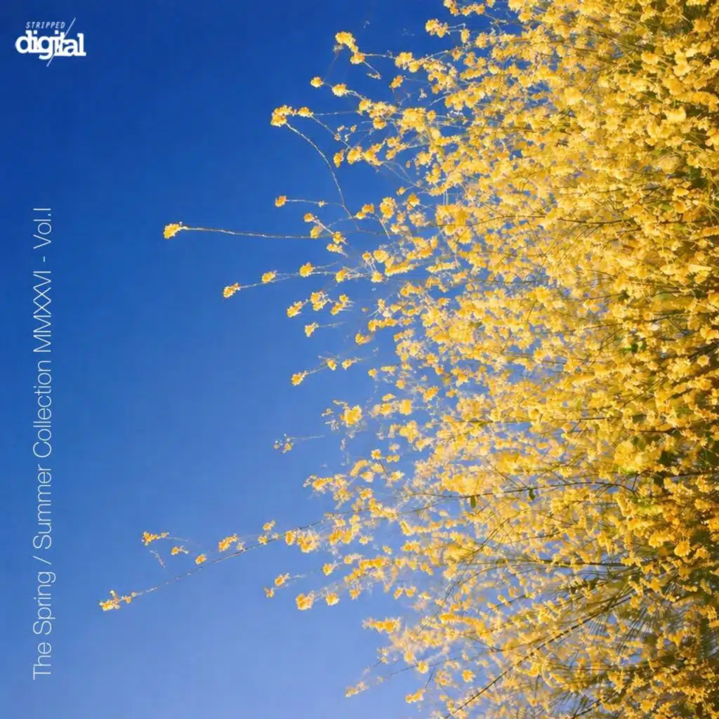 The Spring / Summer Collection MMXXVI - Volume I