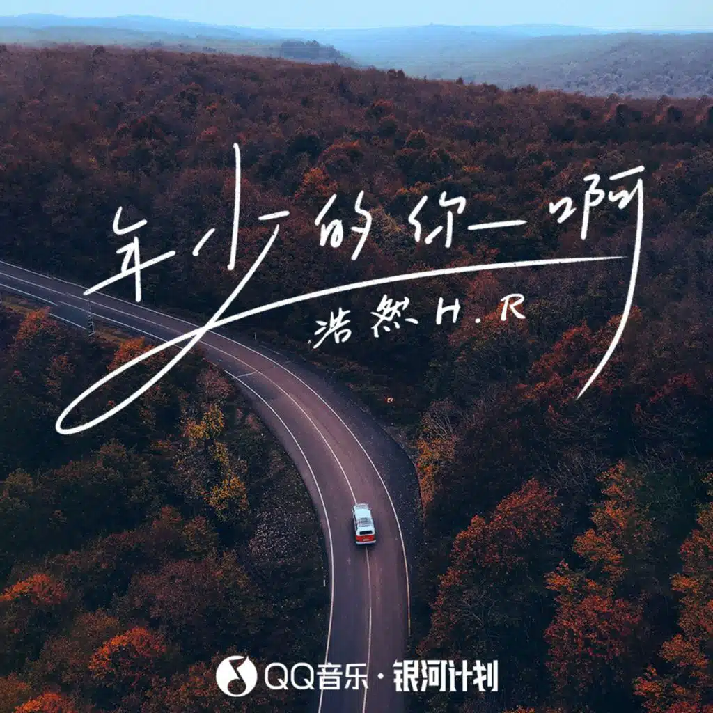 年少的你啊 (DJ九零版伴奏)