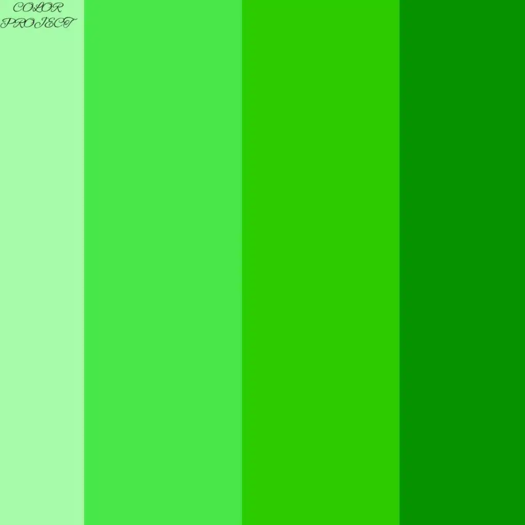 COLOR PROJECT: GREEN