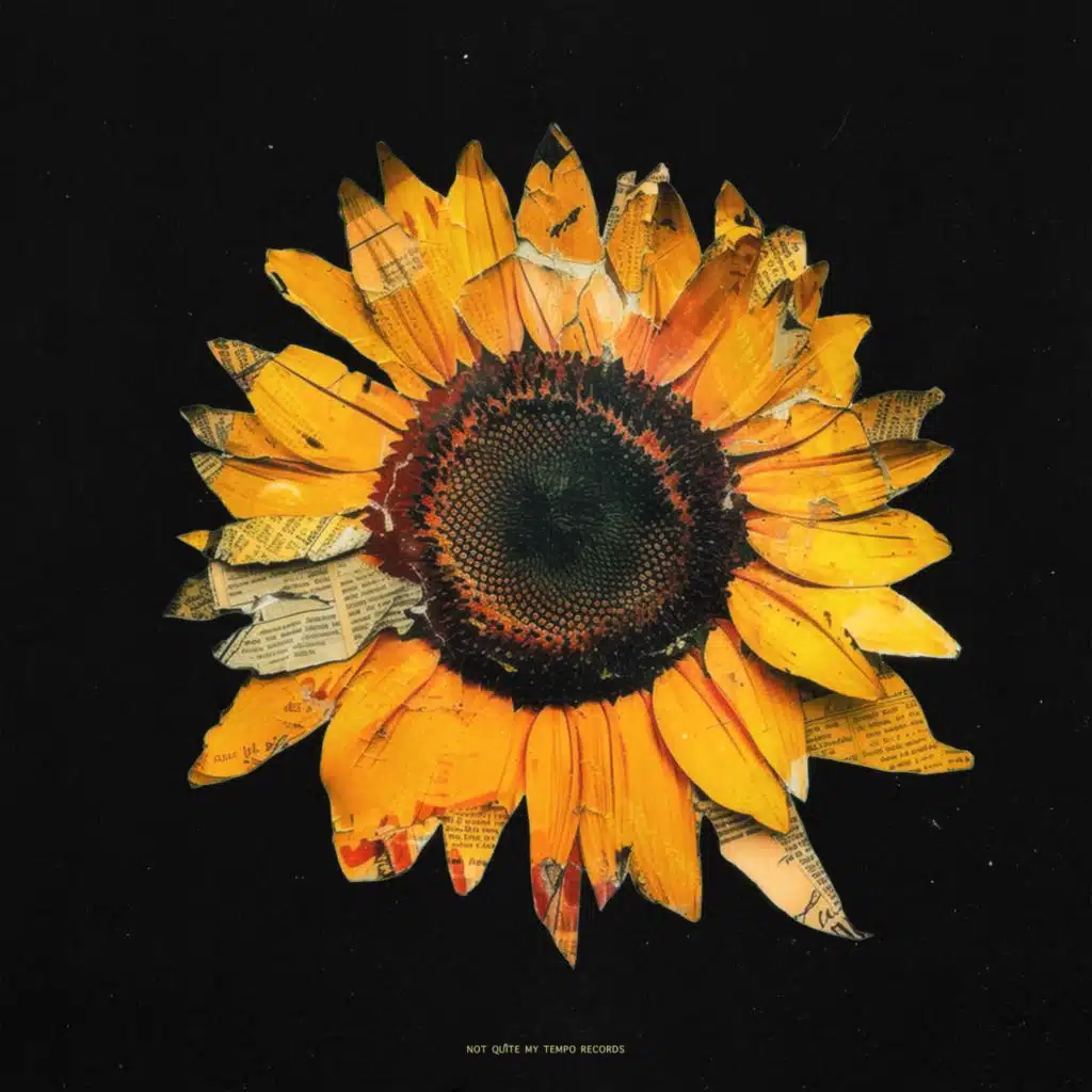 Tournesol