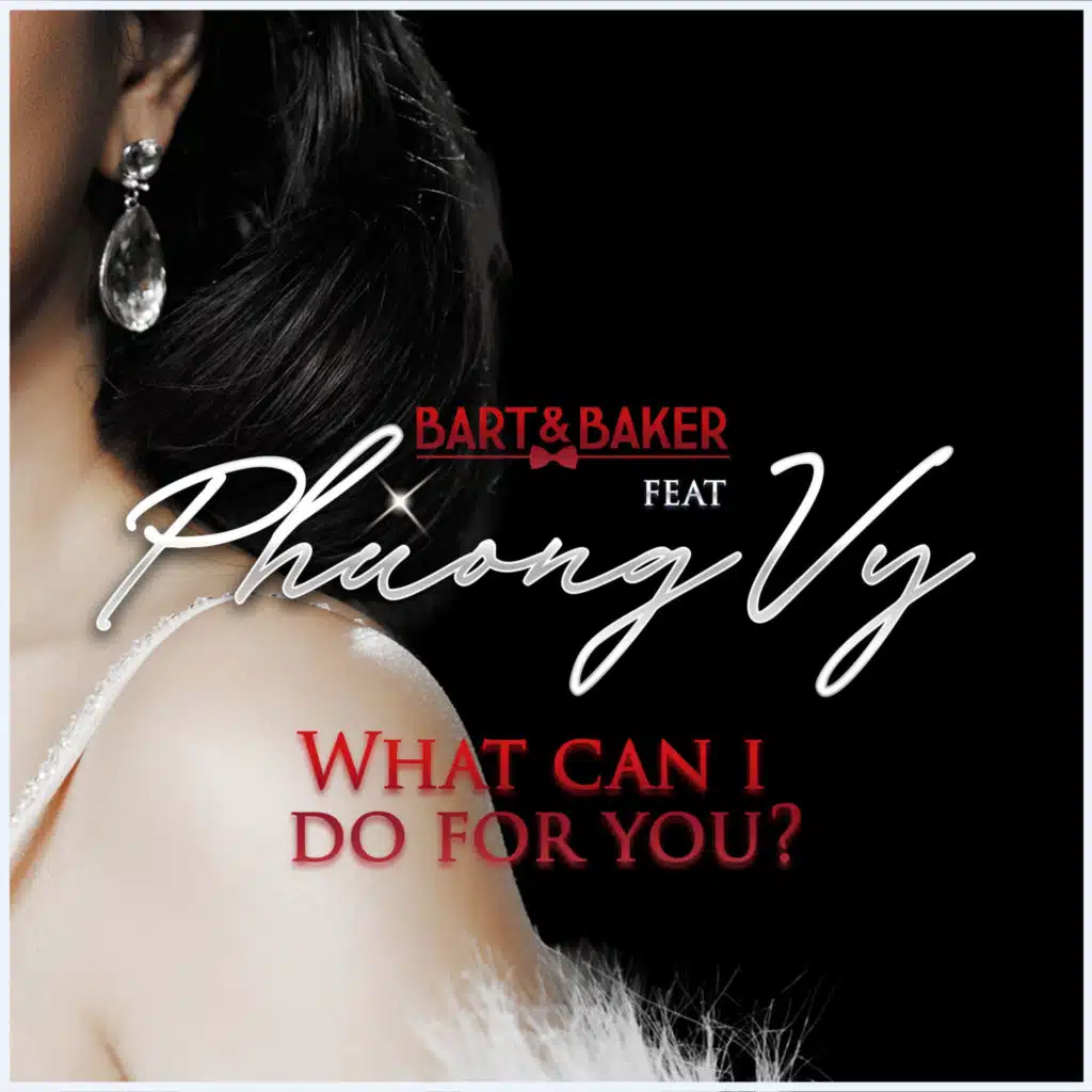 What Can I Do for You? (VietSwing Version)