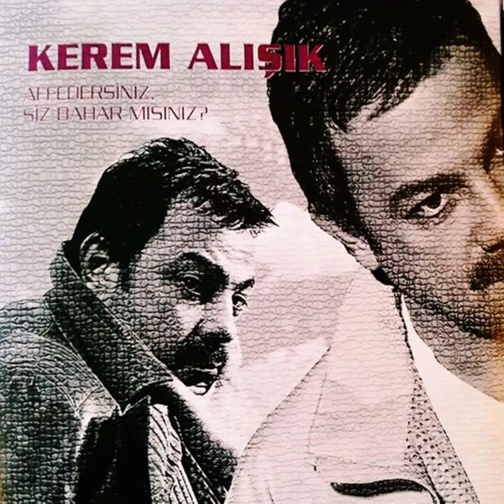 Afedersiniz Siz Bahar Mısınız