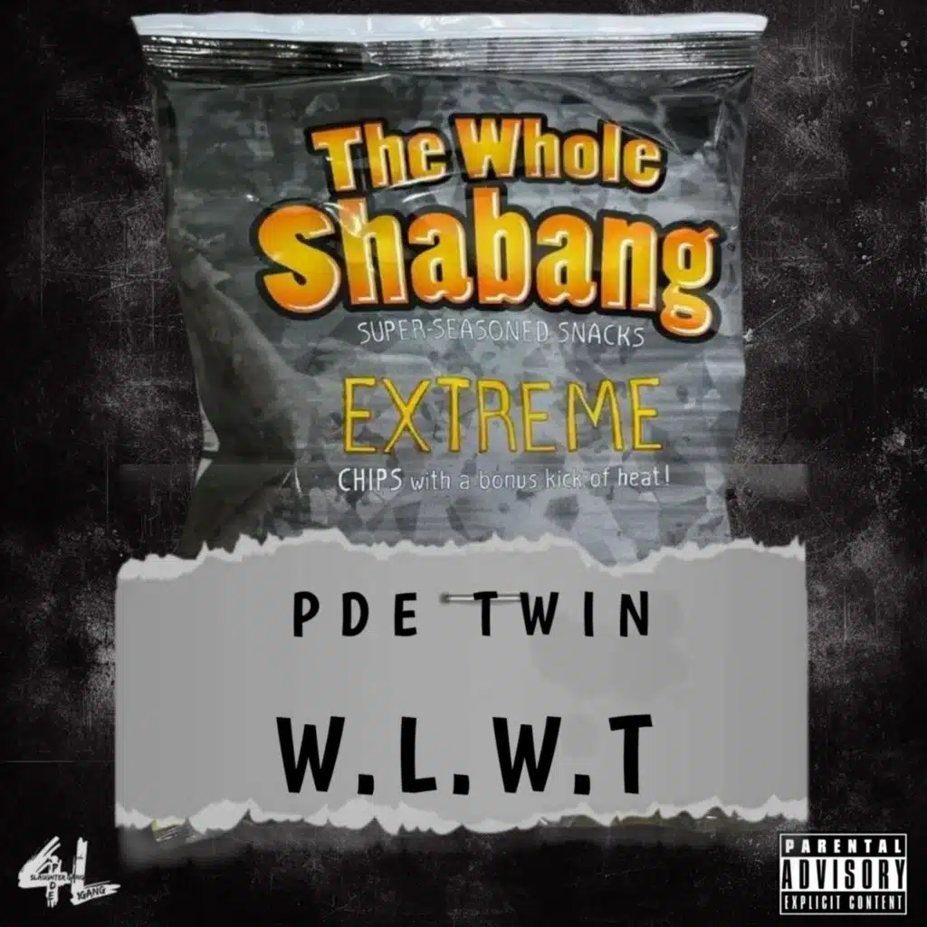 PDE Twin