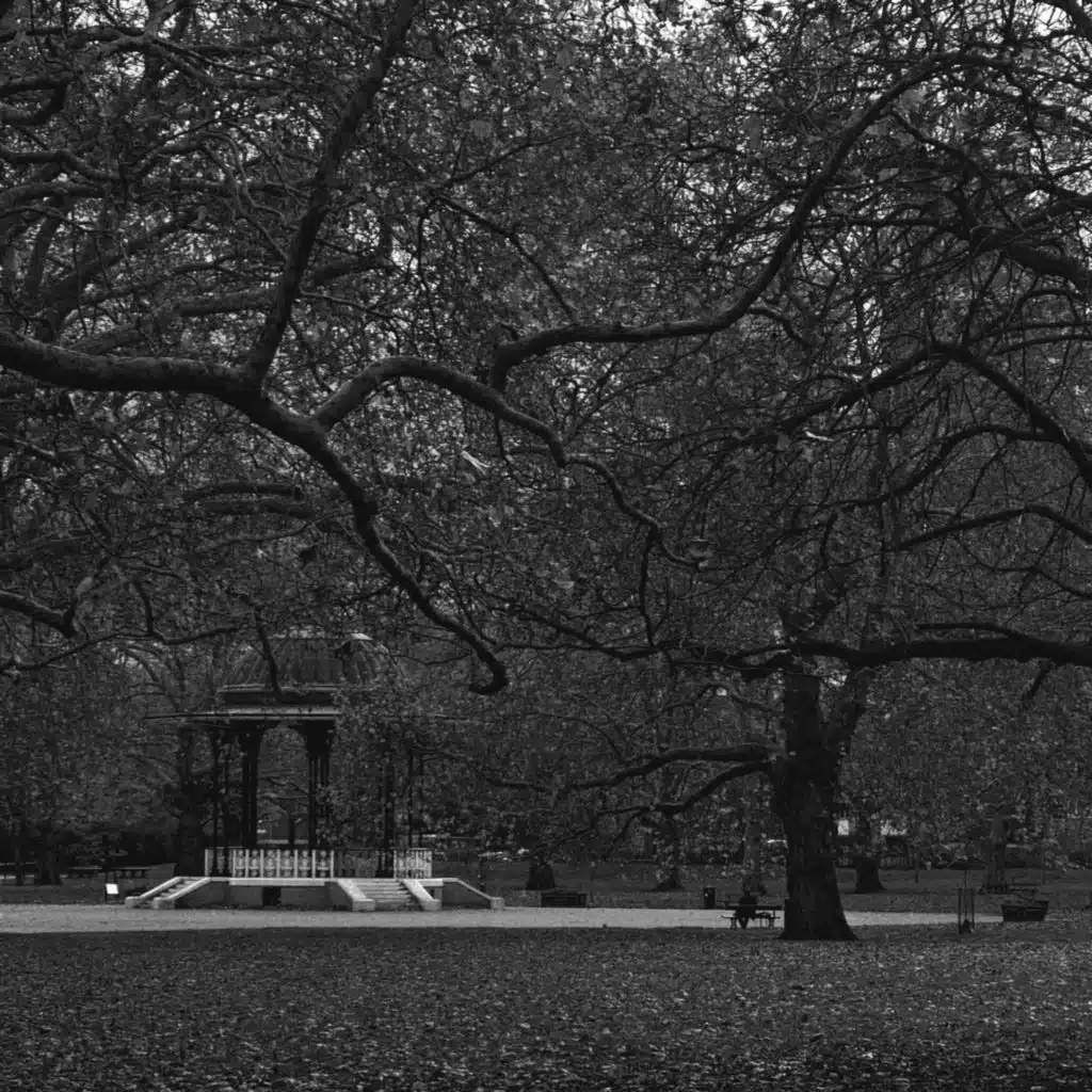 Windsor
