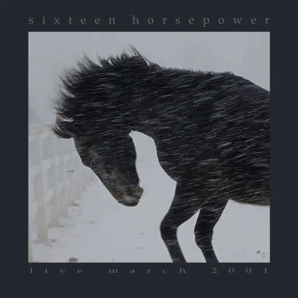 16 Horsepower