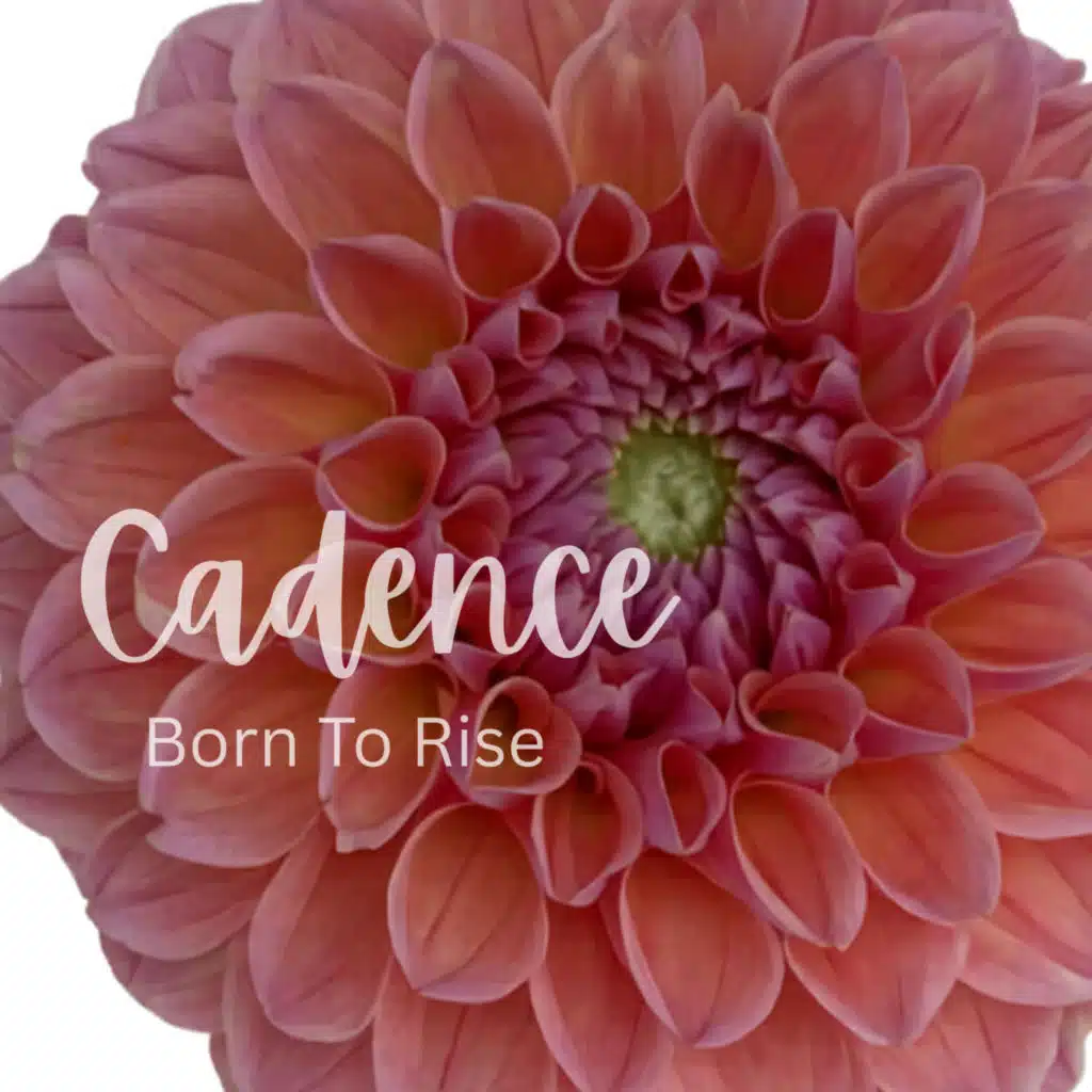 Cadence