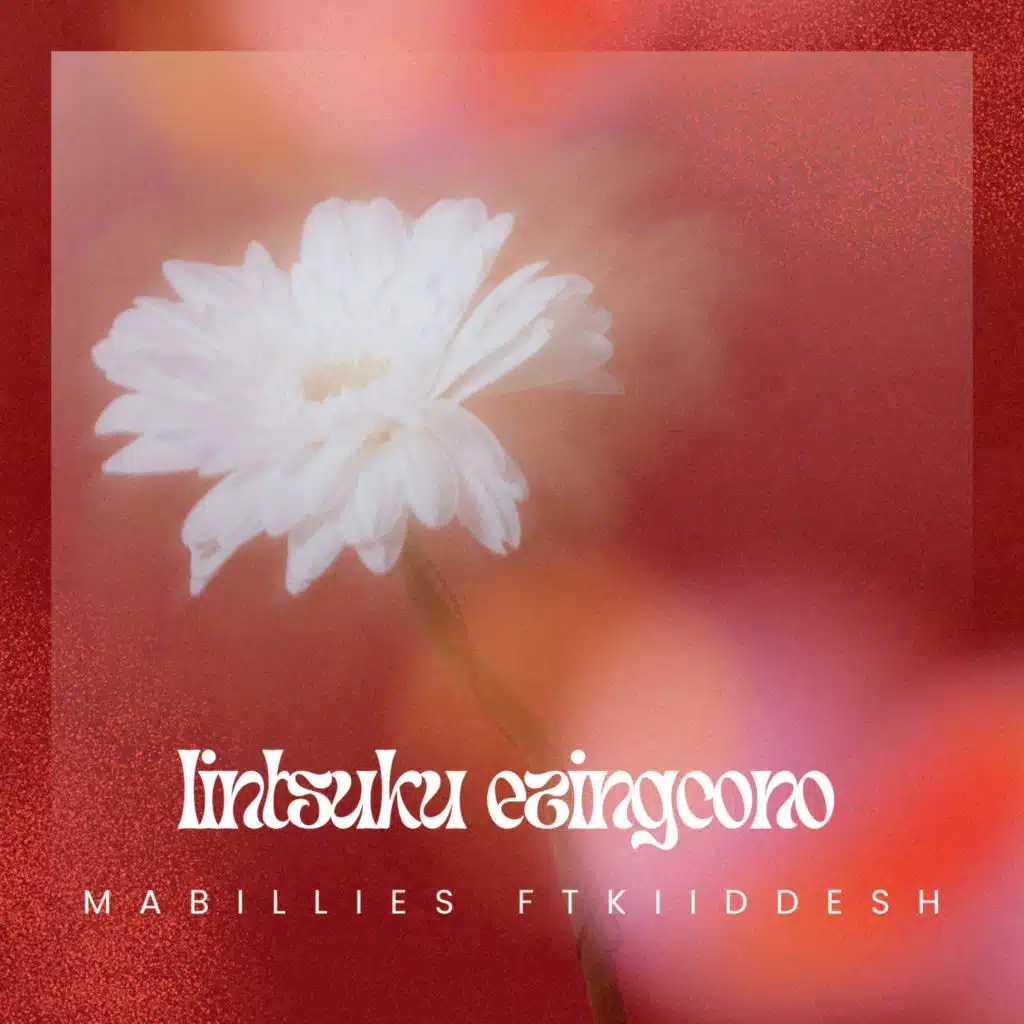 Mabillies