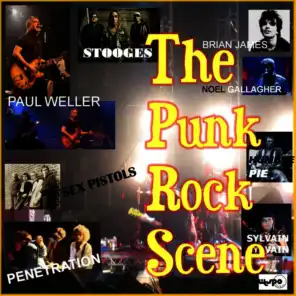 The Punk Rock Scene