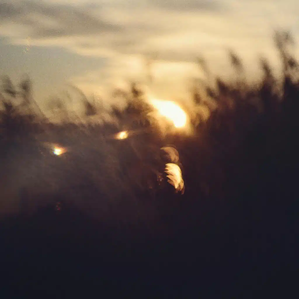 With You