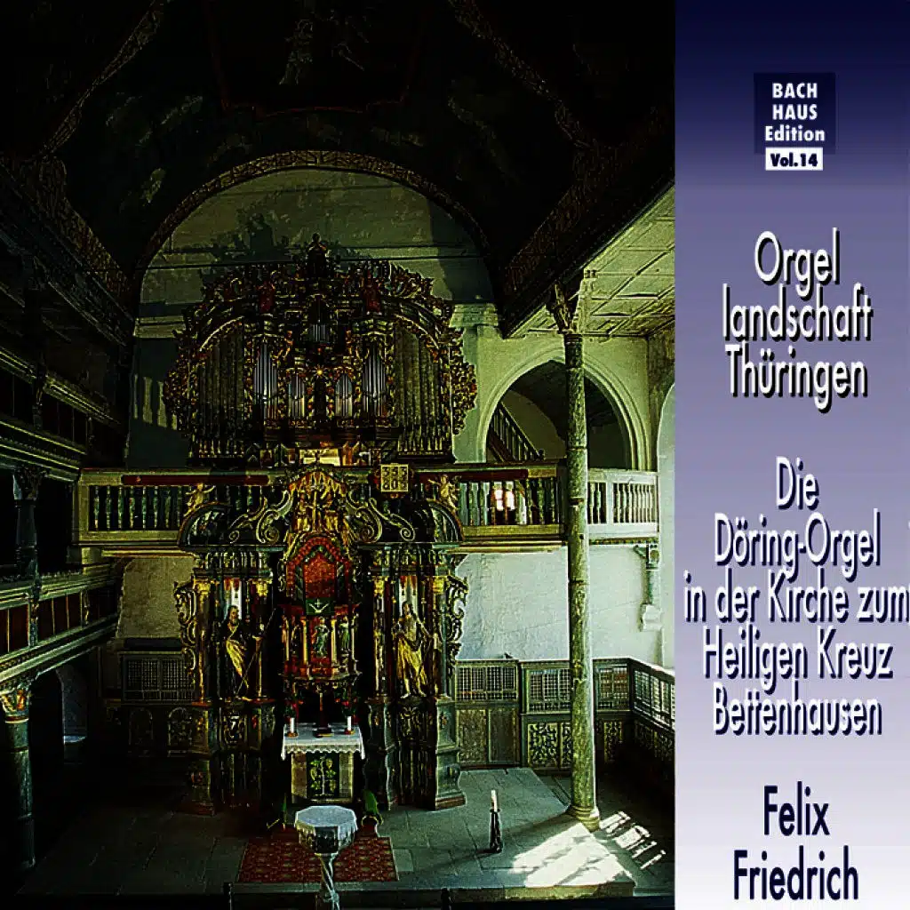 Die Doering-Orgel in Der Kirche Zum Heiligen Kreuz Bettenhausen