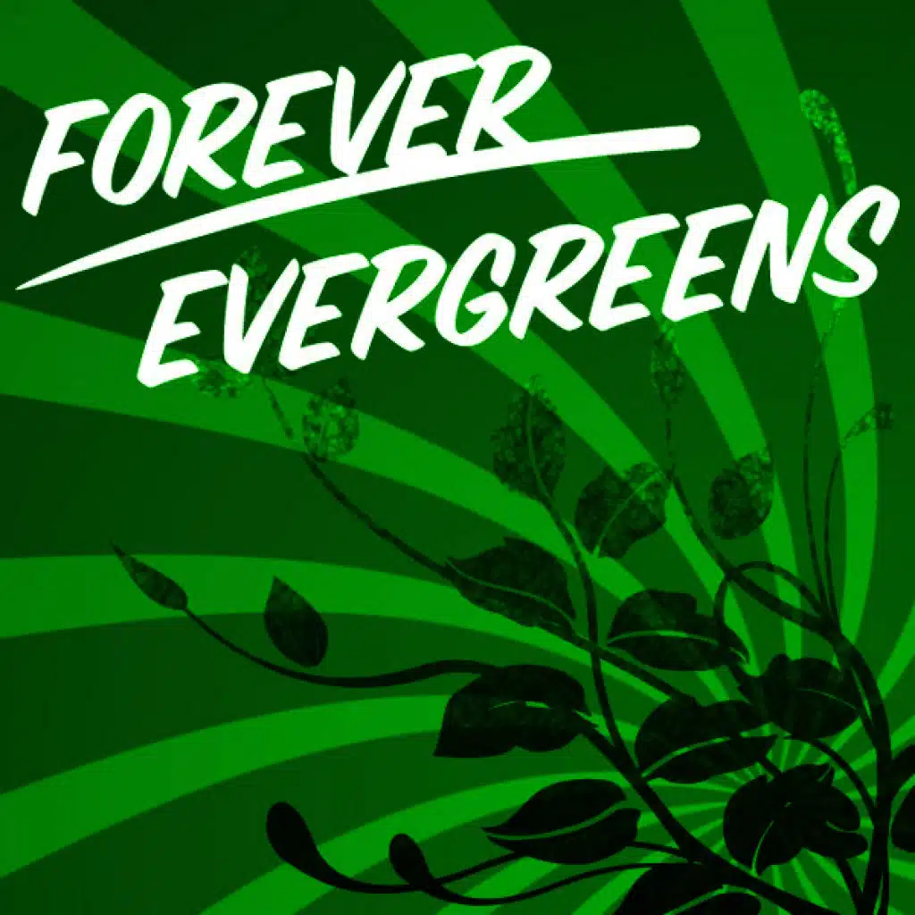 Forever Evergreens