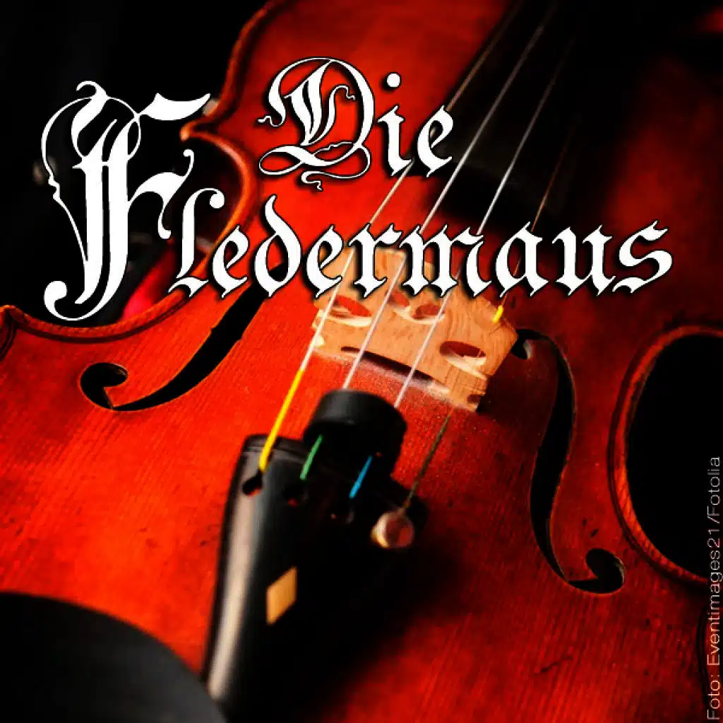 Die Fledermaus