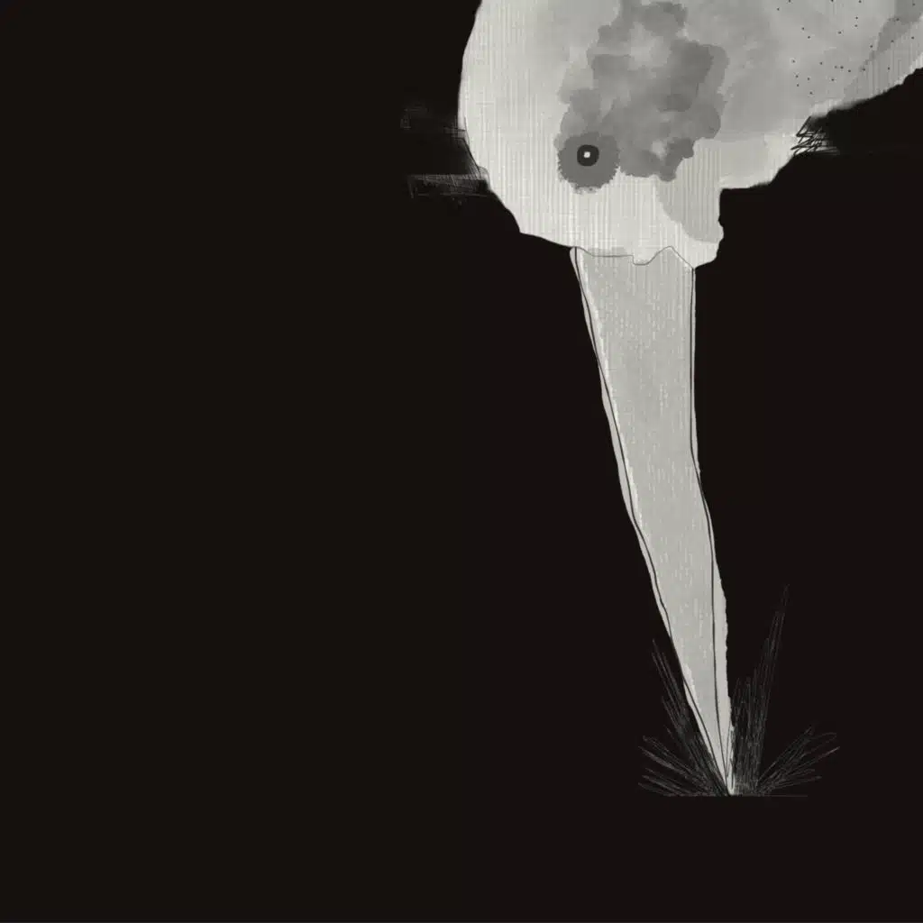 The Birds / Drifting