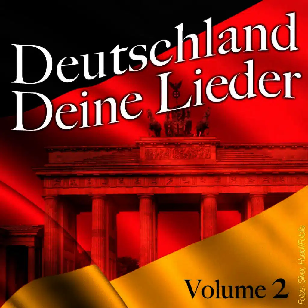 Deutschland Deine Lieder - Vol. 2