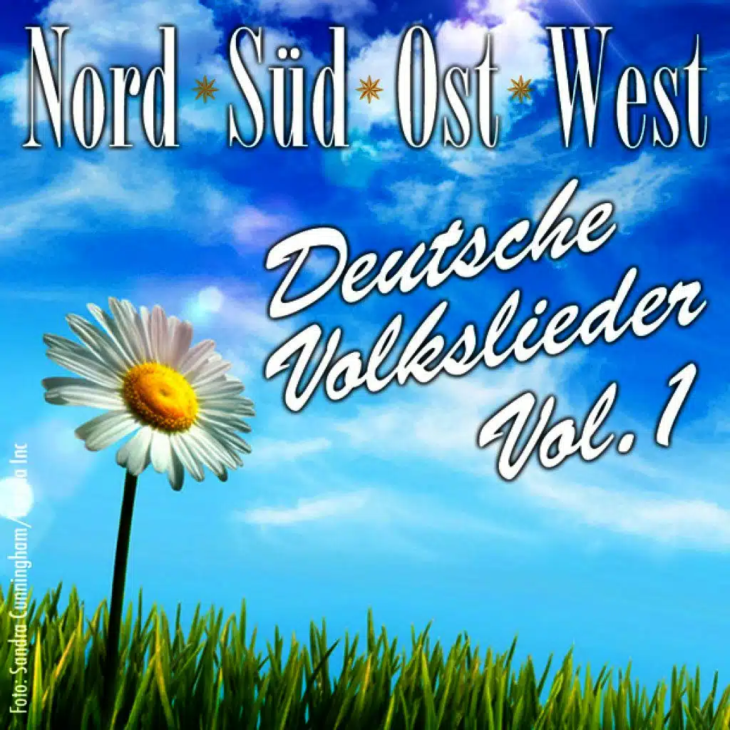 Borneswerder Männerchor