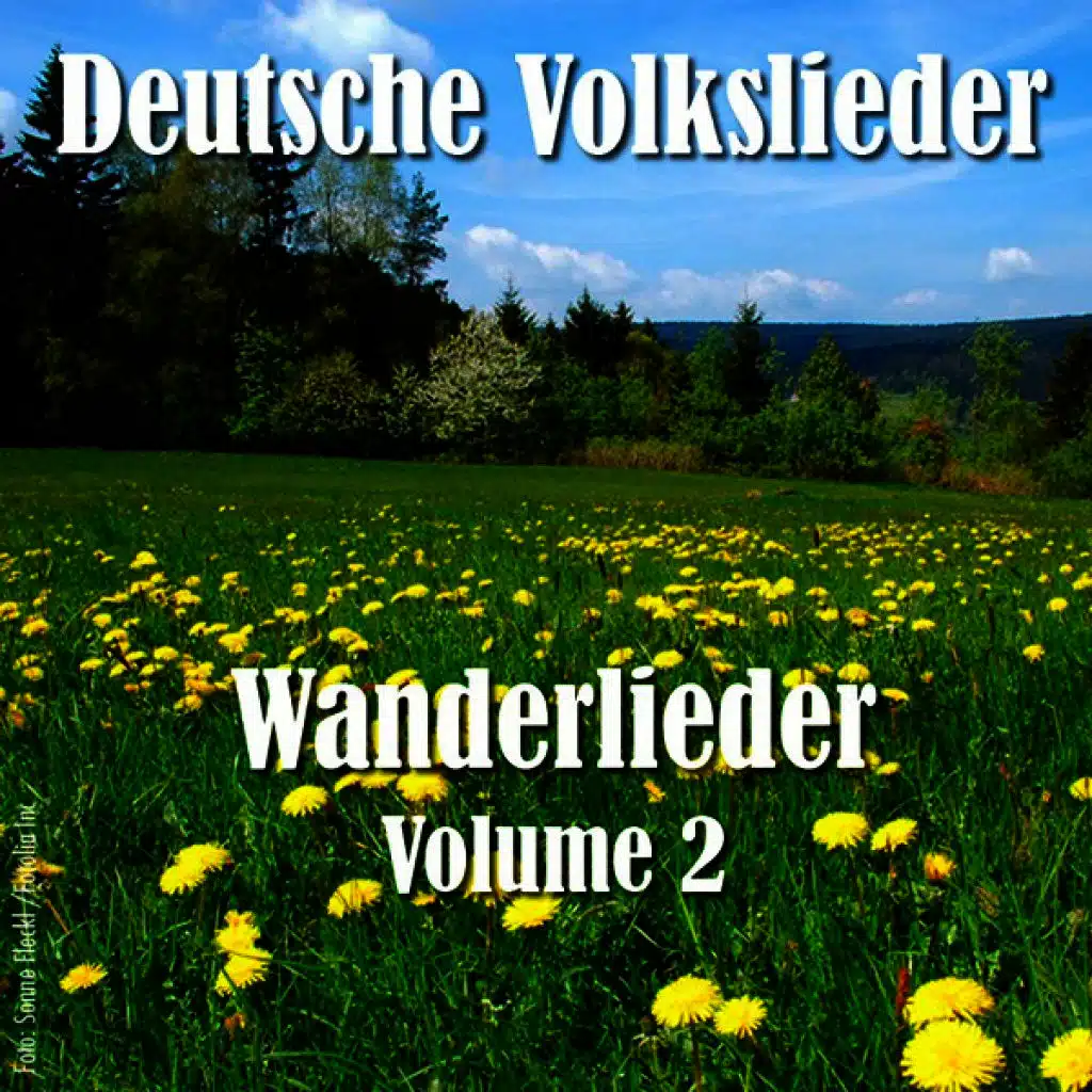 Deutsche Volkslieder - Wanderlieder Vol. 2