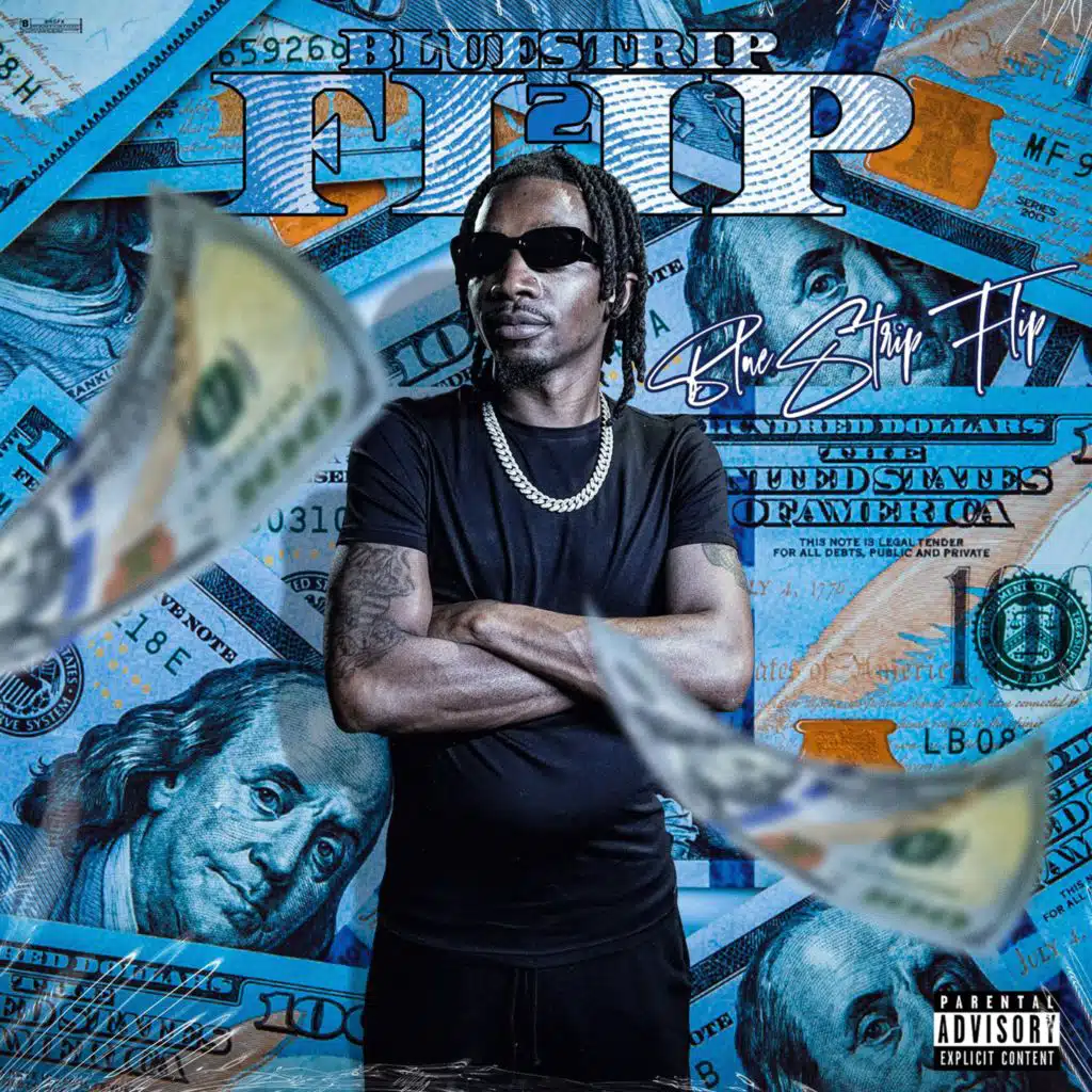 BlueStrip Flip 2