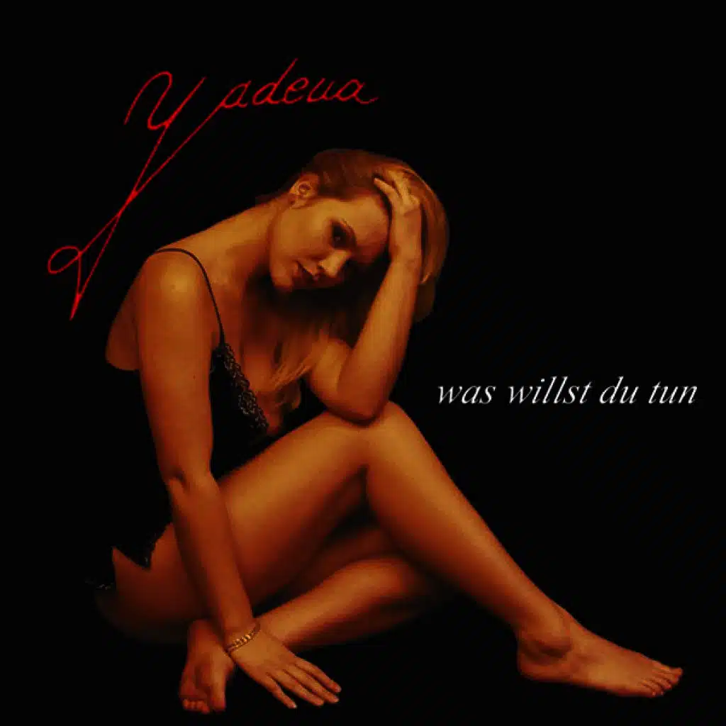 Was Willst Du Tun (Feat. Mesonic)