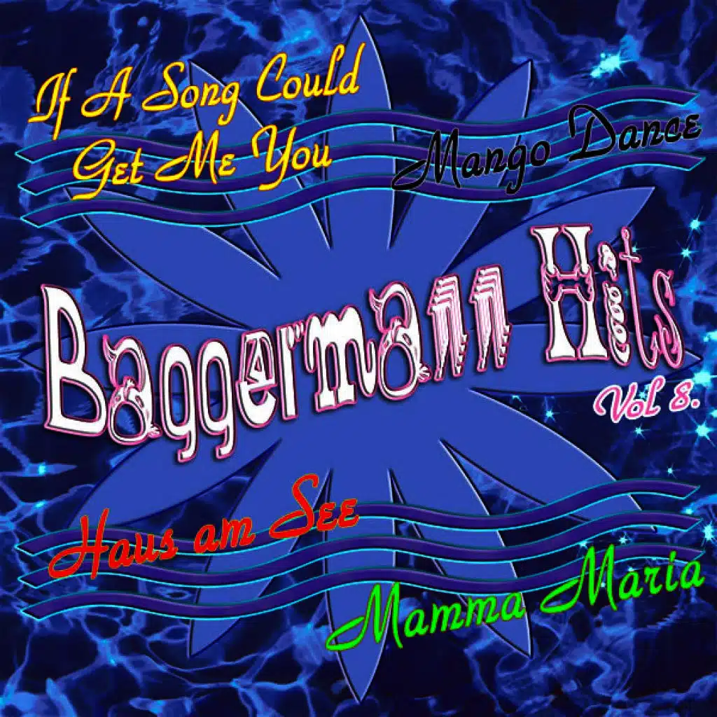 Baggermann Hits Vol. 8