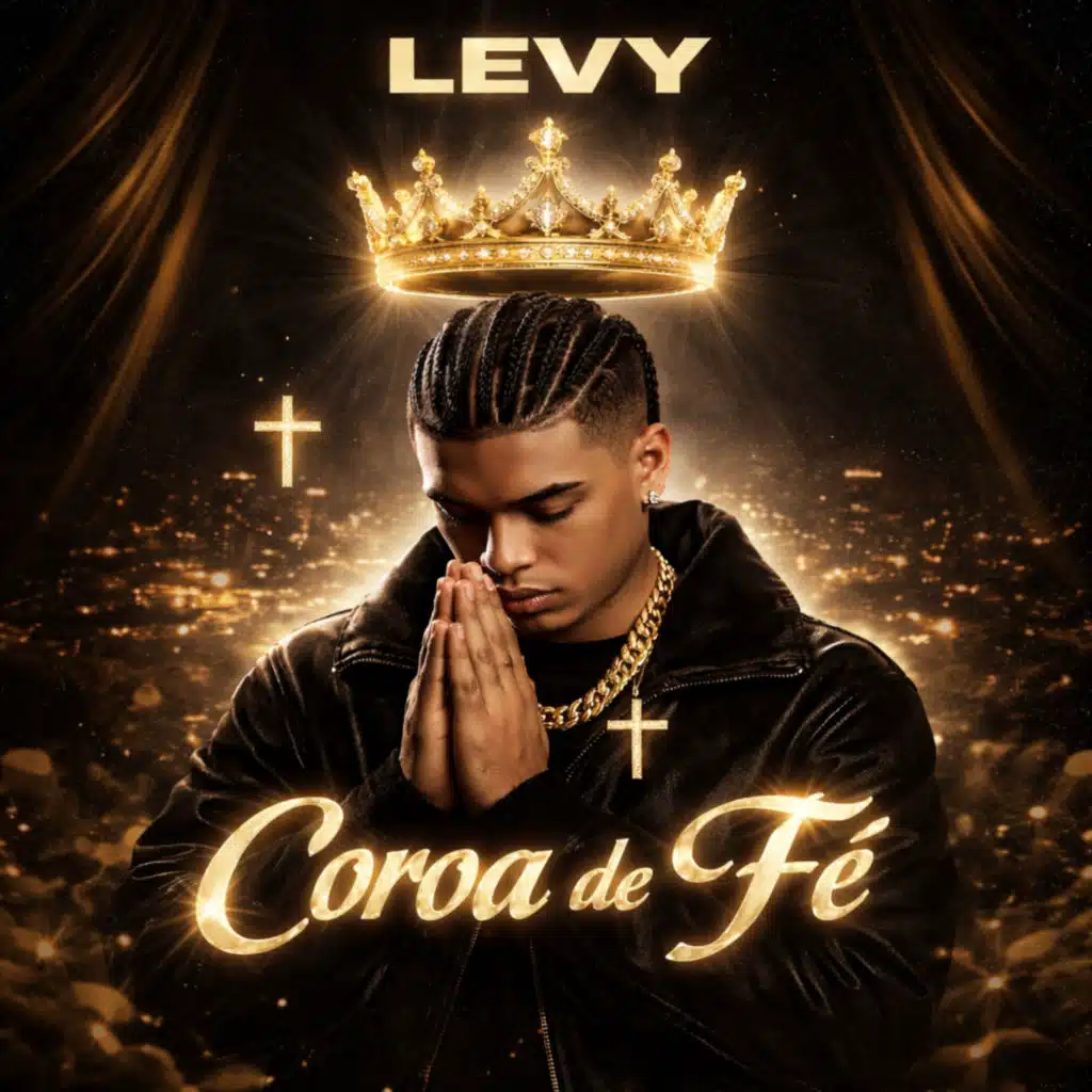 Levy