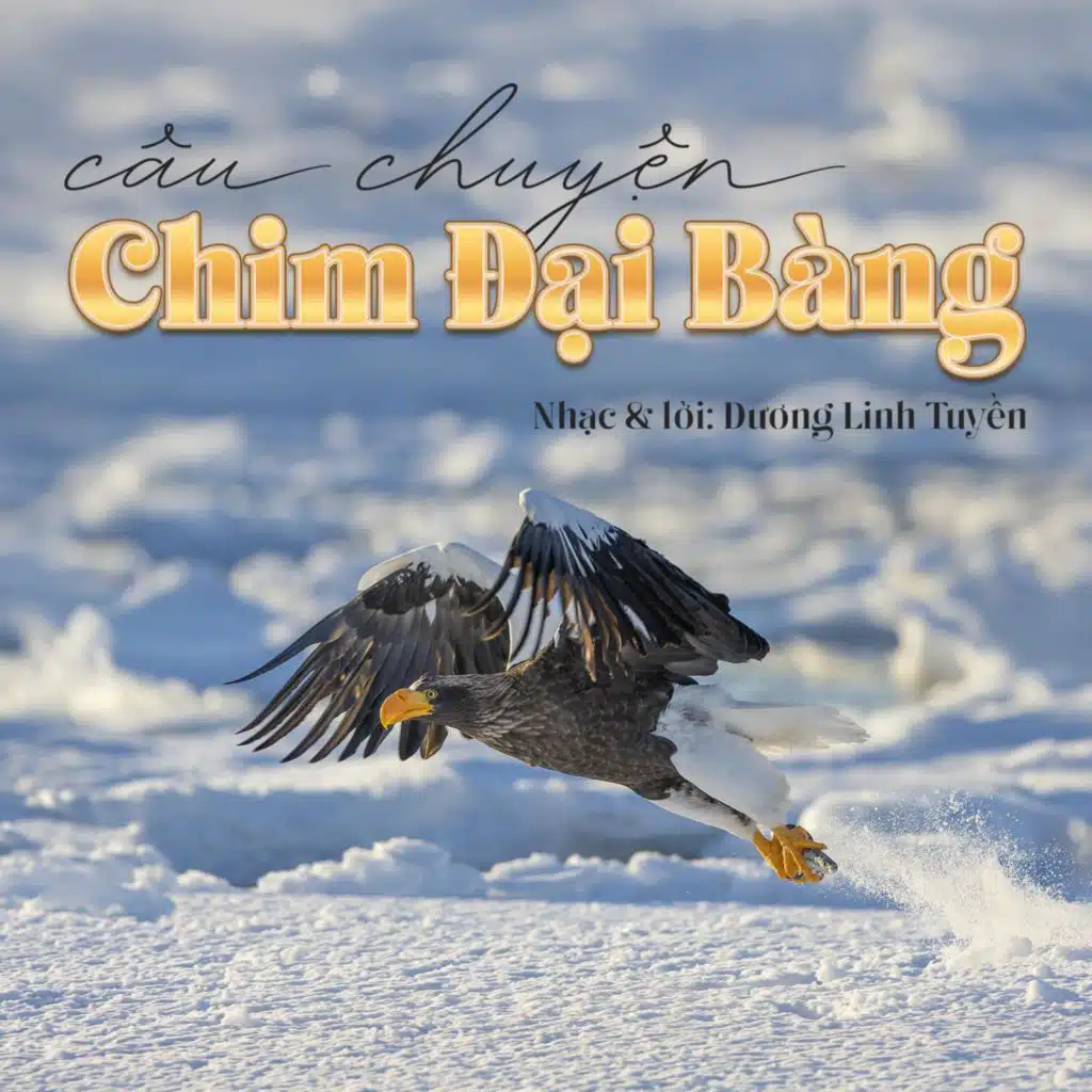 CÂU CHUYỆN CHIM ĐẠI BÀNG
