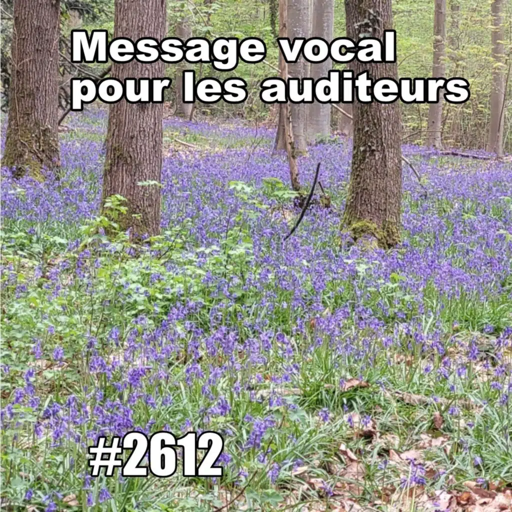 Message vocal pour les auditeurs (Easter Sunday in Paris, Normal pace)