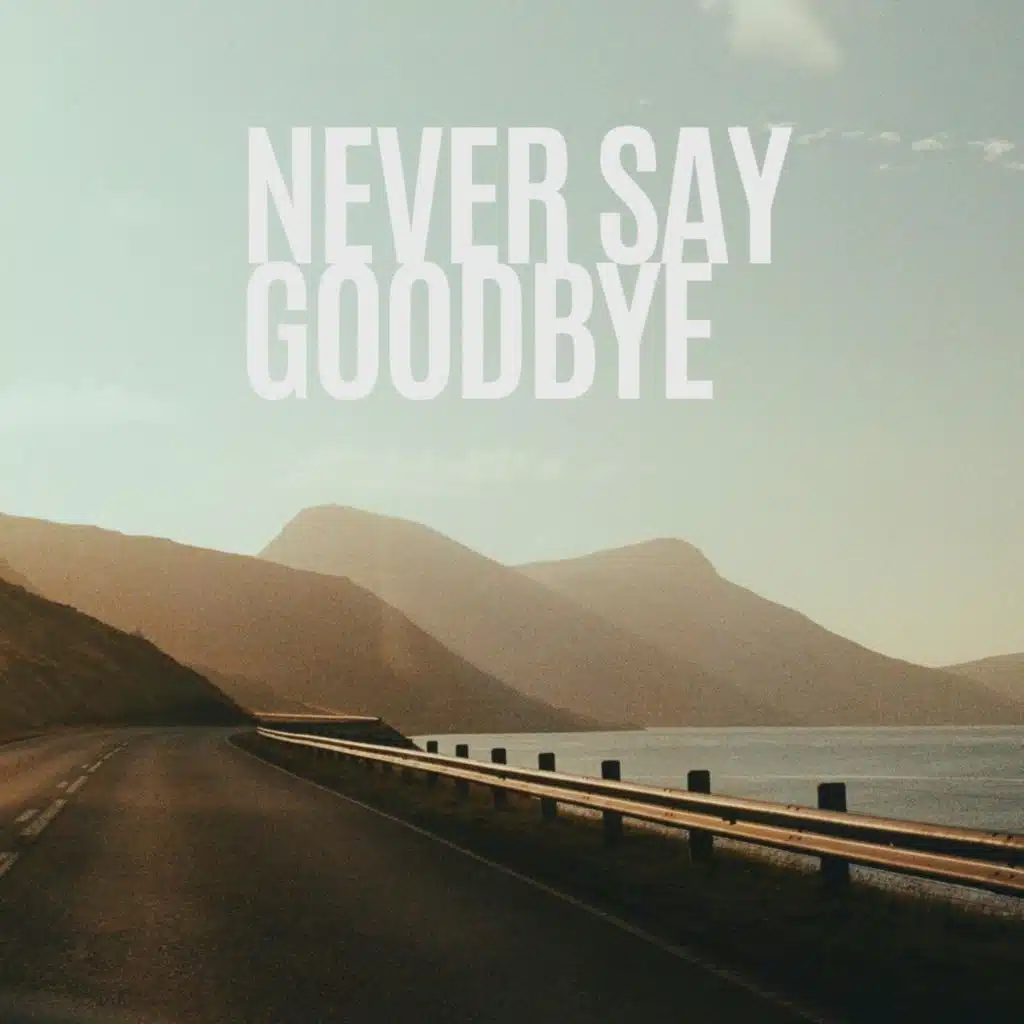 Never Say Goodbye