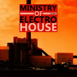 Ministry of Electro House Vol.06