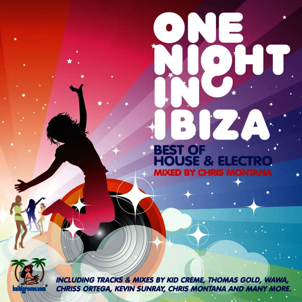 One Night in Ibiza