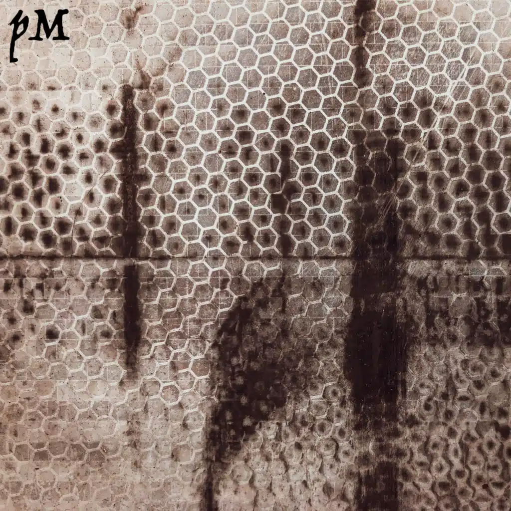 Plaitsnoise Melodica