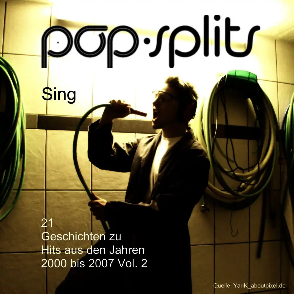 Pop-Splits - Sing - 21 Geschichten Zu Hits Aus Den Jahren 2000 Bis 2007 Vol. 2